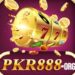 PKR888 Game