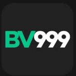 BV999 Game