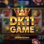 DK 11 Game