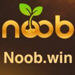 noob win Game