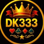 DK333 Game