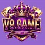 V9 Game